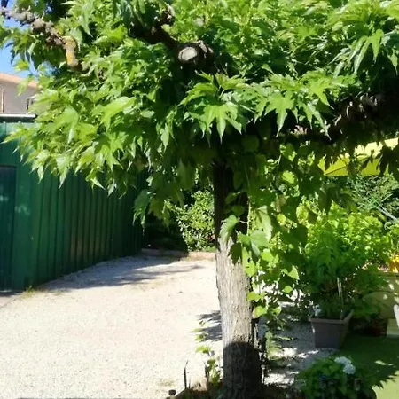 Appartement D'Une Chambre A Saint Laurent Des Arbres Avec Jardin Clos A 90 Km De La Plage Apartmán *