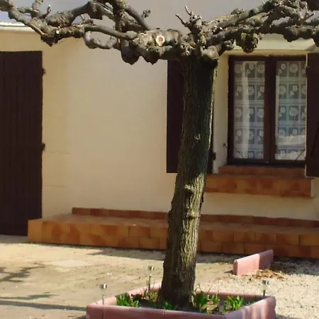 Appartement D'Une Chambre A Saint Laurent Des Arbres Avec Jardin Clos A 90 Km De La Plage *